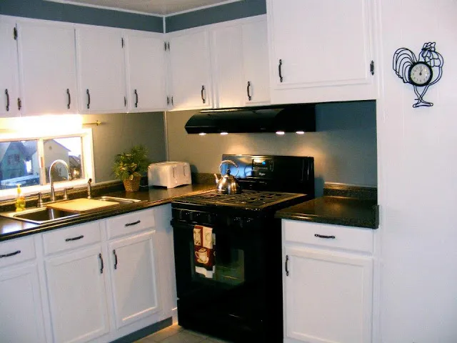 Single wide kitchen remodel-kitchen